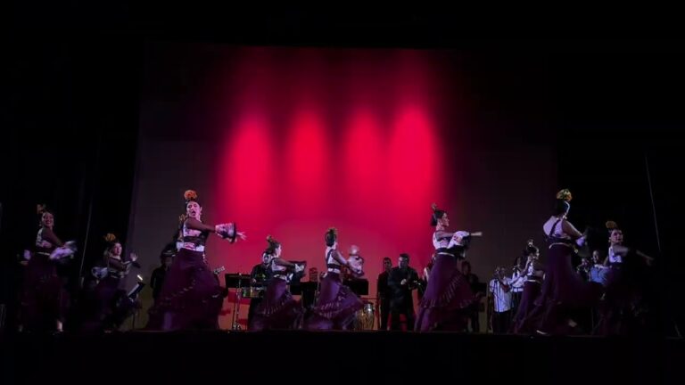 La Pasi&oacute;n Juvenil por el Flamenco en el Festival