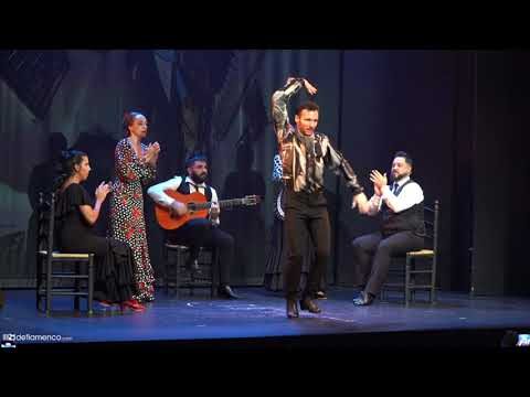 La emoci&oacute;n del flamenco en el tablao
